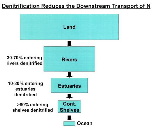 The transport of reactive nitrogen from terrestrial to oceanic systems decreases at each step along the river–estuarine–continental shelf system.